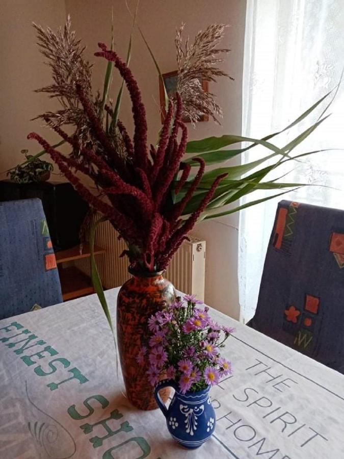 Kekturas-Tora Nyilo Badacsonyi Privat Berlemeny Appartement Badacsonytomaj Buitenkant foto